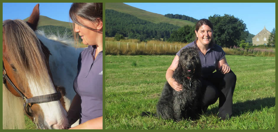 Fife Animal Care